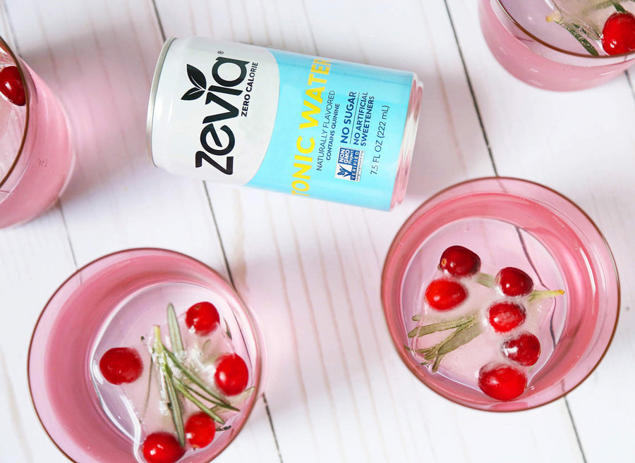 Cranberry & Rosemary Gin and Tonic with Infused Ice Cubes